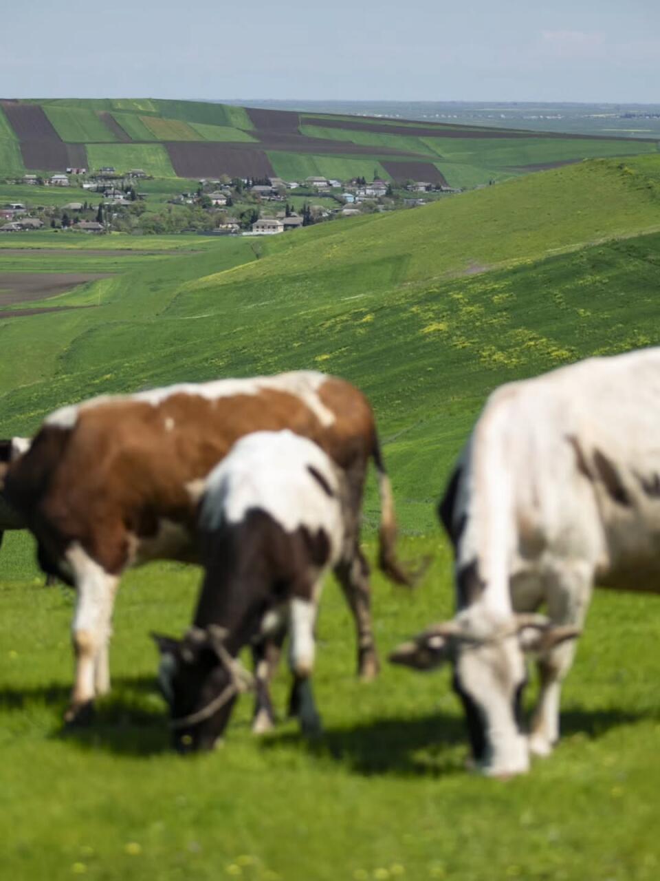 Невероятная красота Азербайджана от Орхана Асланова