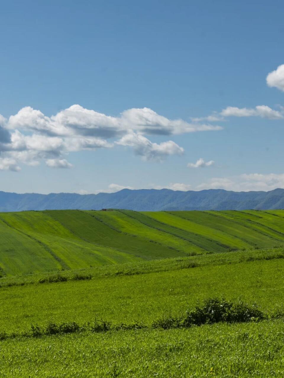 Невероятная красота Азербайджана от Орхана Асланова