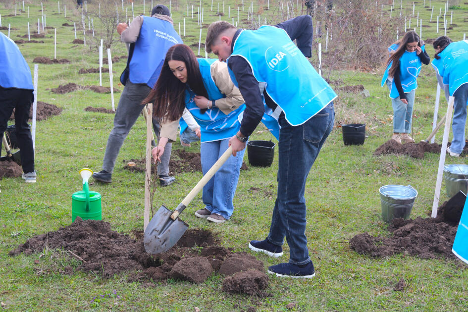 В селе Шахдаг Гядабейского района высажено более 6500 саженцев