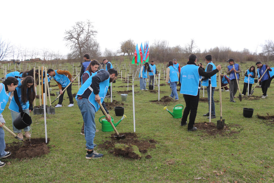 В селе Шахдаг Гядабейского района высажено более 6500 саженцев
