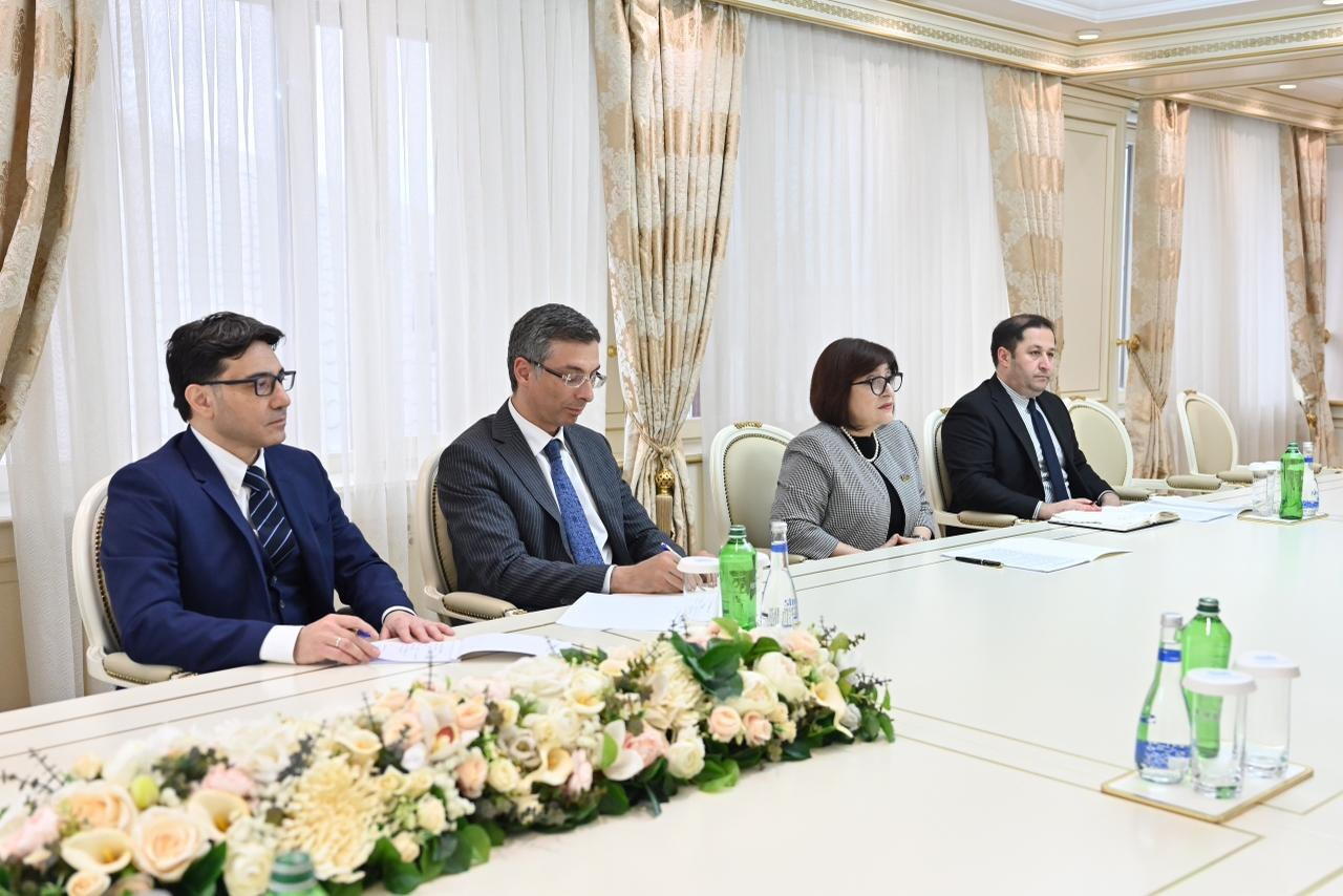 Сахиба Гафарова встретилась с членами межпарламентской группы дружбы Ирландия-Азербайджан