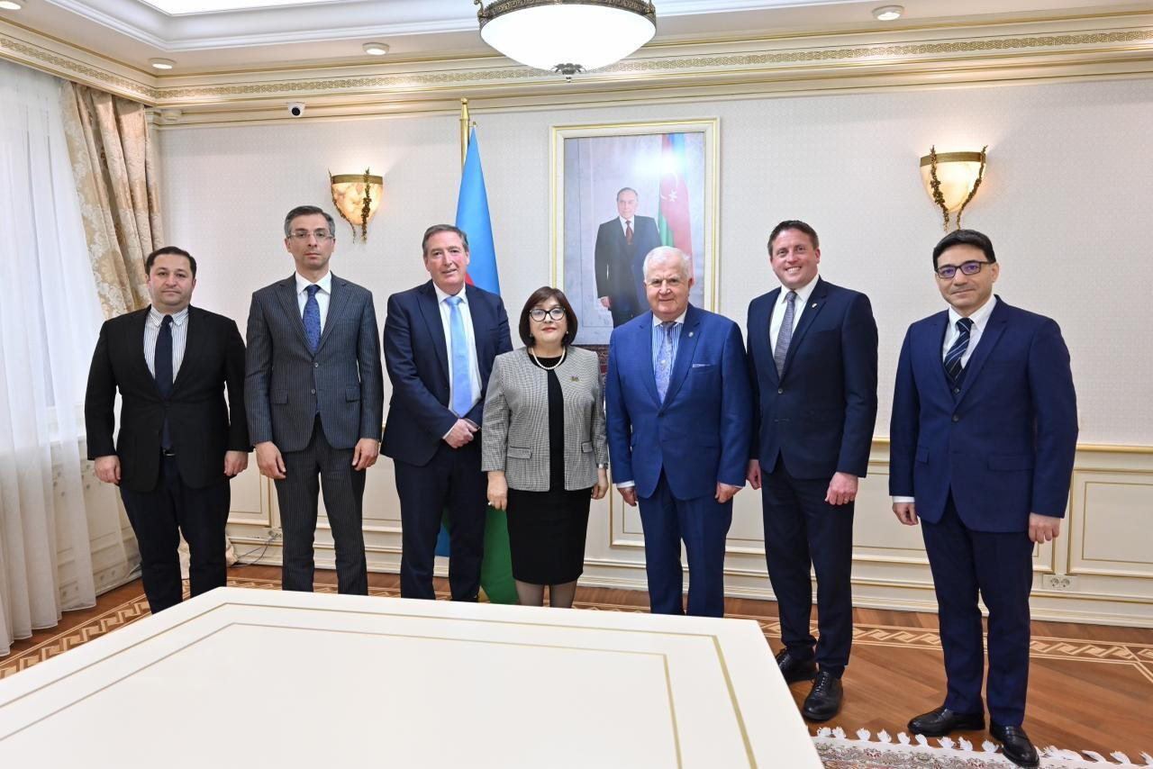 Сахиба Гафарова встретилась с членами межпарламентской группы дружбы Ирландия-Азербайджан