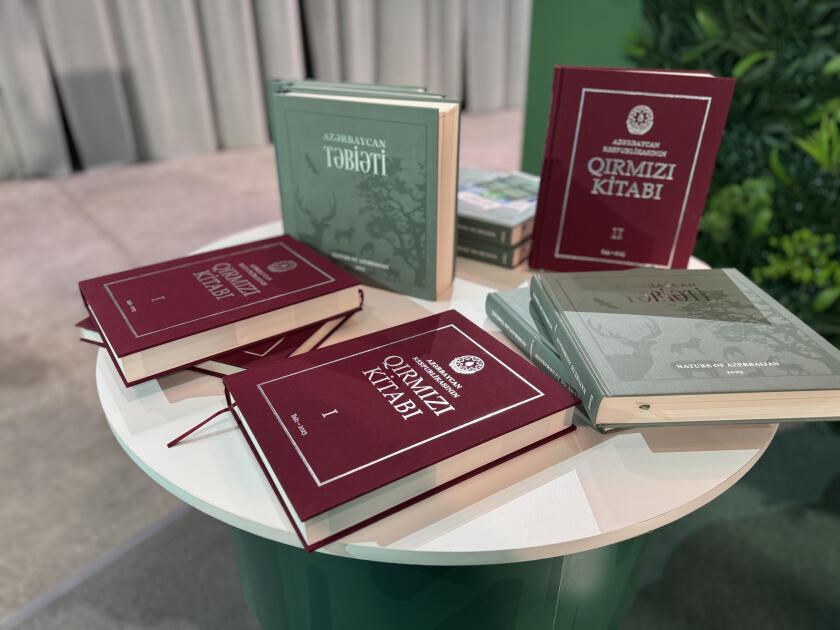 Азербайджан представил свой павильон на выставке RES 2026 EXPO в Астане