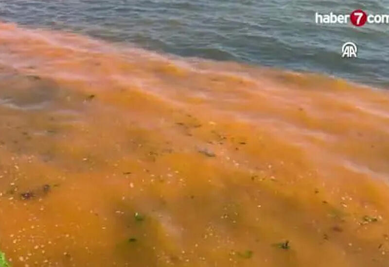 Стало известно, почему Мраморное море в Турции стало коричневым