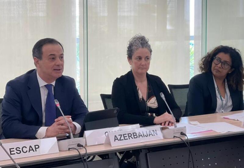 На сессии UNESCAP представлена информация о поддержке Азербайджаном малых островных государств