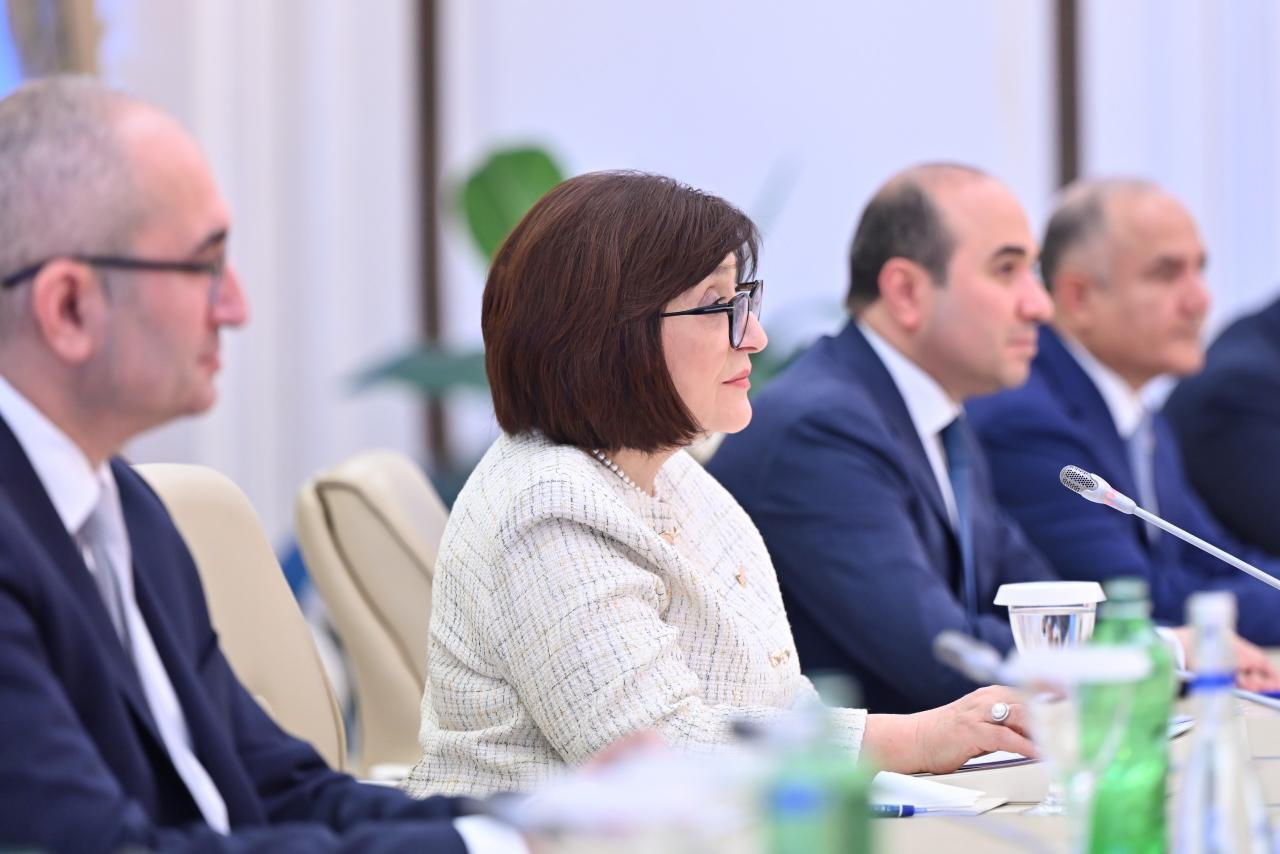 Sahibə Qafarova Latviya Prezidenti ilə görüşüb