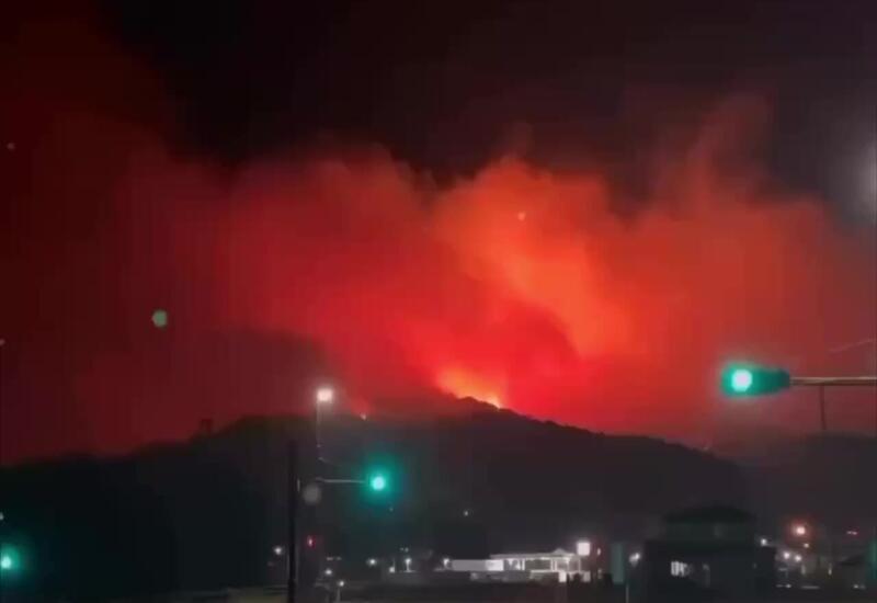 Лесные пожары охватили северо-восток Японии