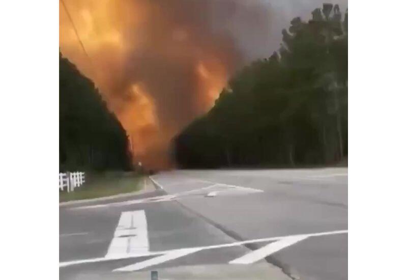 Лесные пожары в США уничтожили более 50 домов