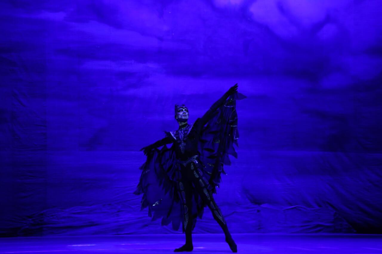 Белый лебедь, черная тайна - между светом и тьмой в Баку