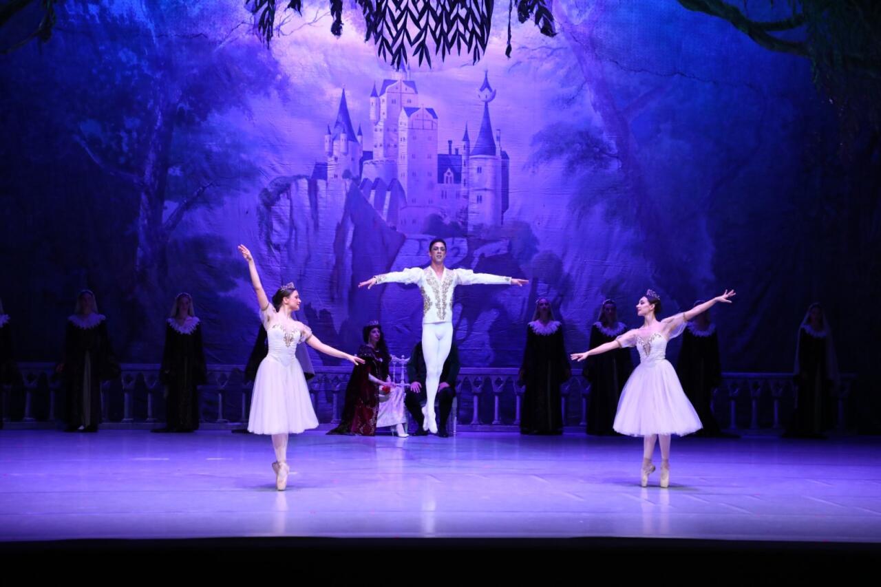 Белый лебедь, черная тайна - между светом и тьмой в Баку