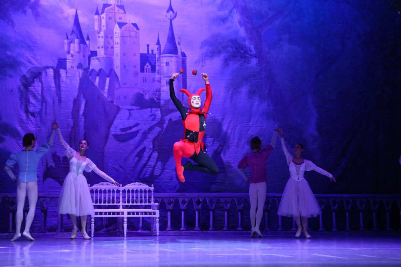 Белый лебедь, черная тайна - между светом и тьмой в Баку