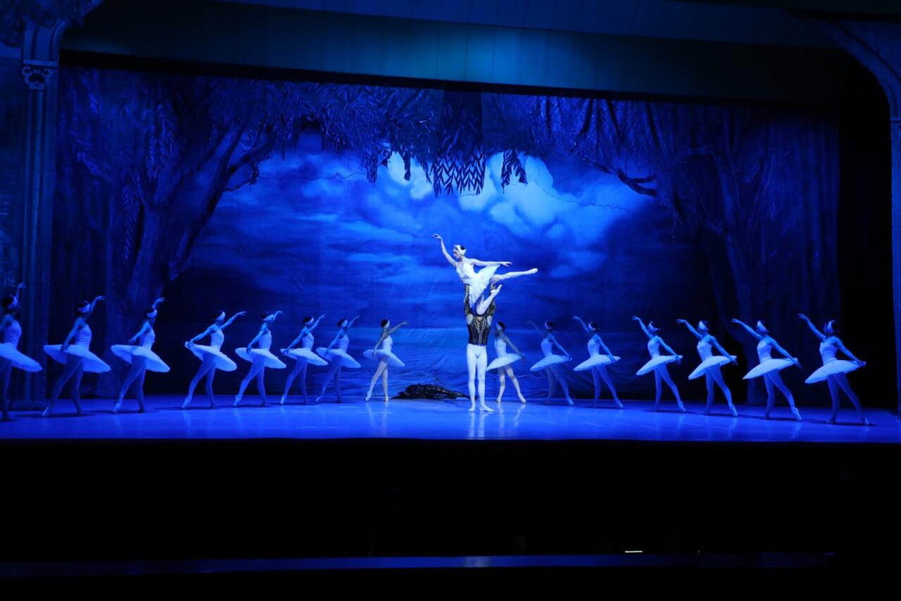 Белый лебедь, черная тайна - между светом и тьмой в Баку