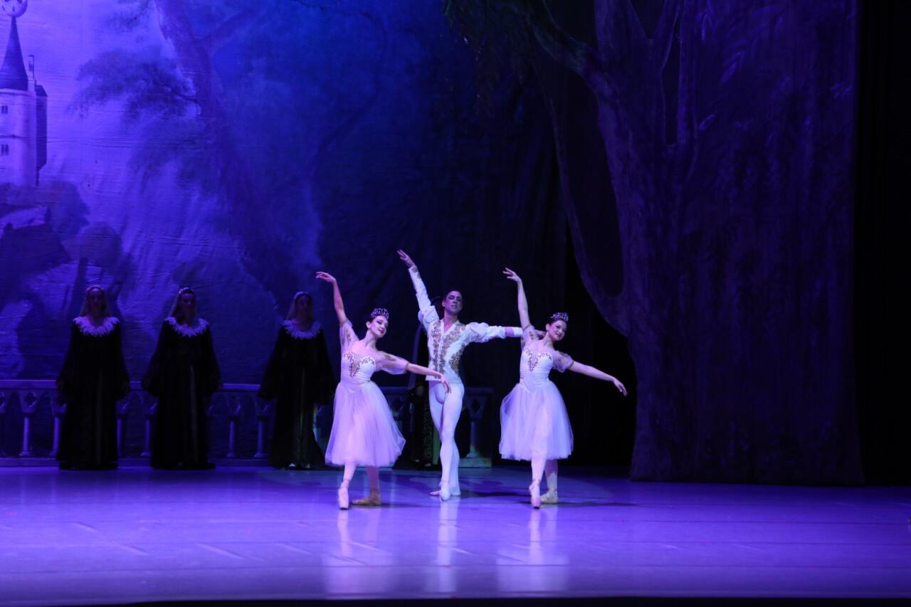 Белый лебедь, черная тайна - между светом и тьмой в Баку