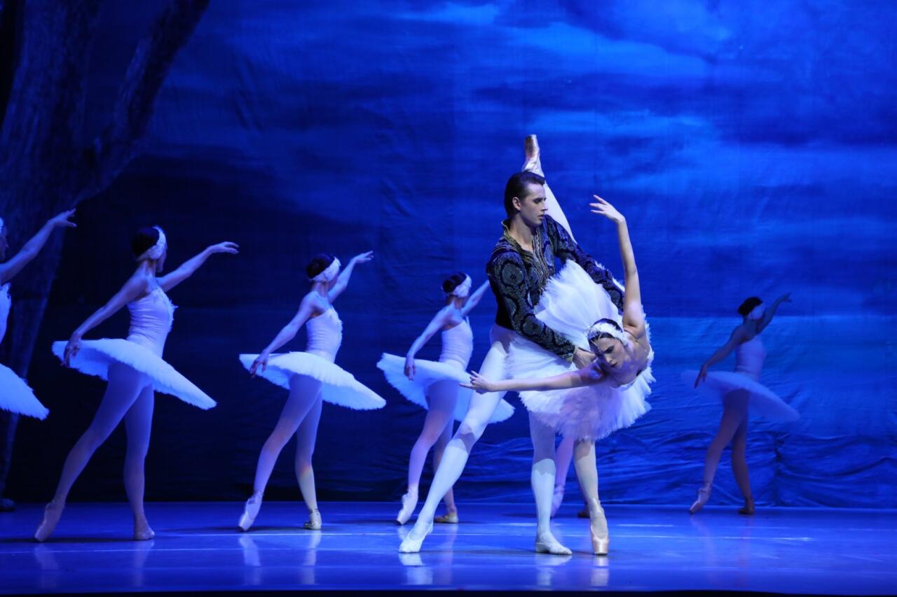 Белый лебедь, черная тайна - между светом и тьмой в Баку