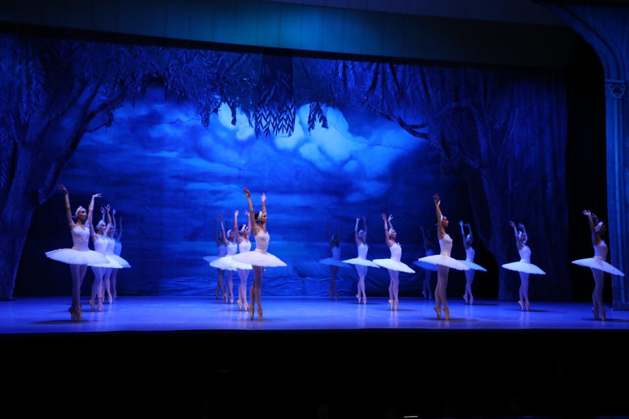 Белый лебедь, черная тайна - между светом и тьмой в Баку