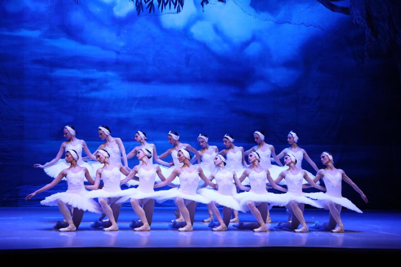 Белый лебедь, черная тайна - между светом и тьмой в Баку