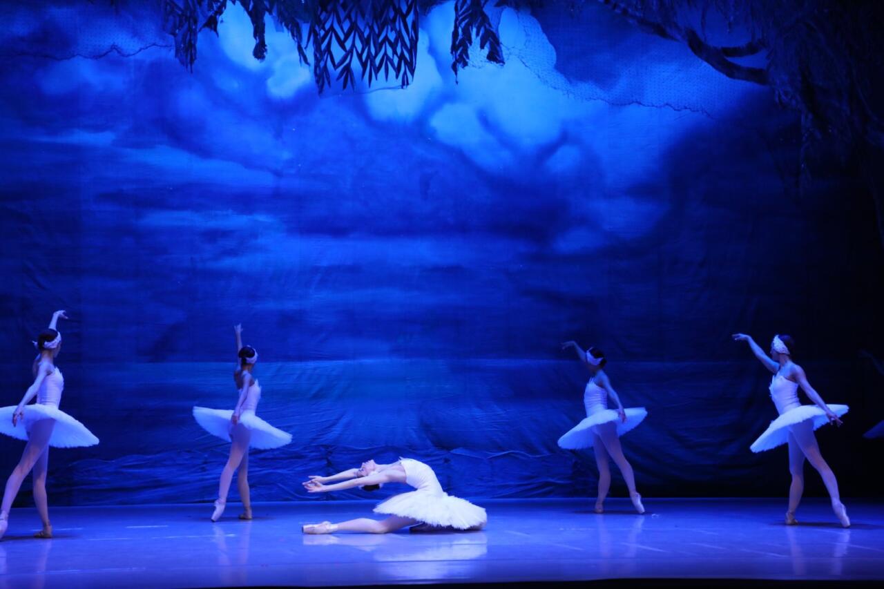 Белый лебедь, черная тайна - между светом и тьмой в Баку