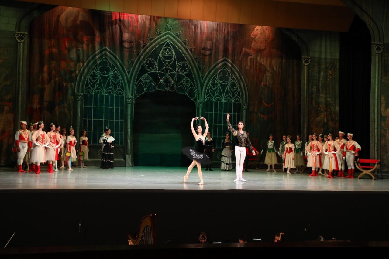 Белый лебедь, черная тайна - между светом и тьмой в Баку