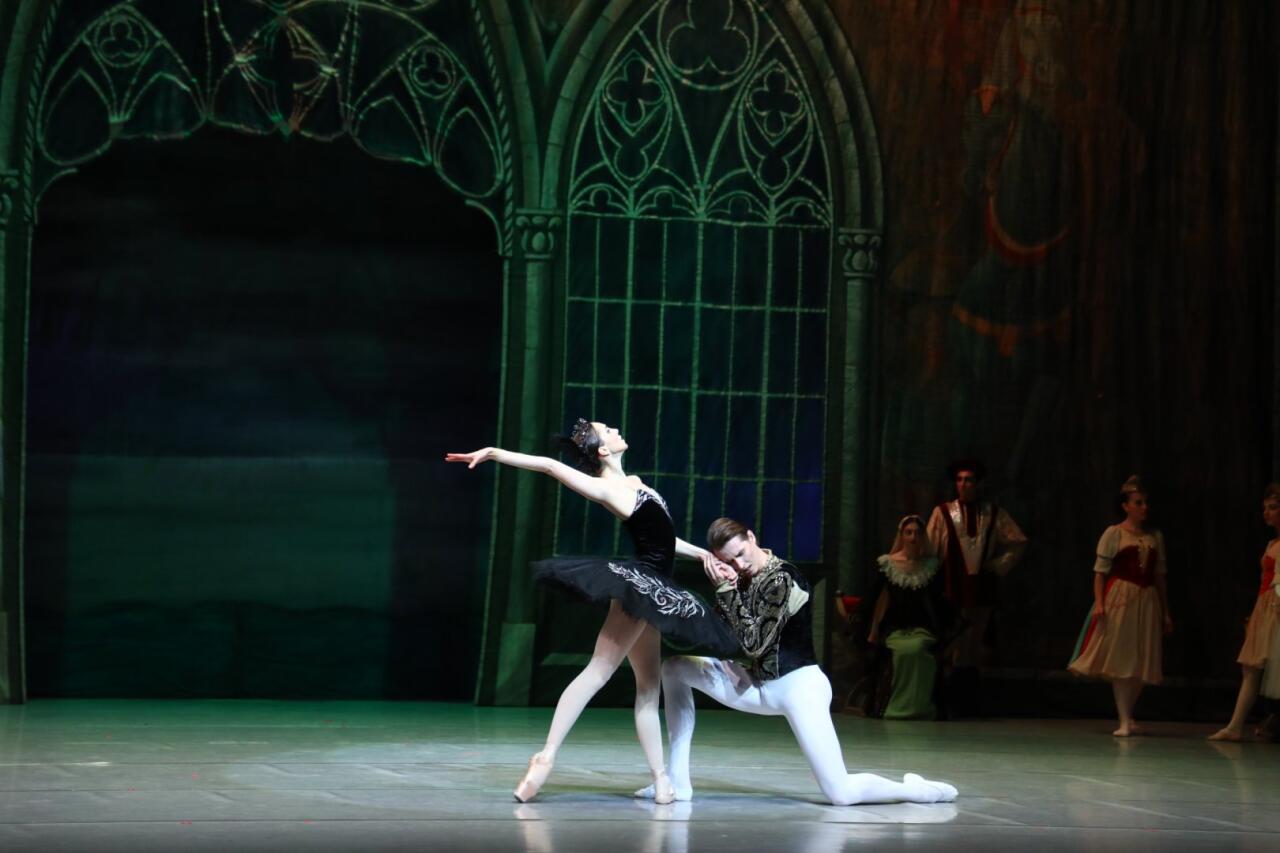 Белый лебедь, черная тайна - между светом и тьмой в Баку