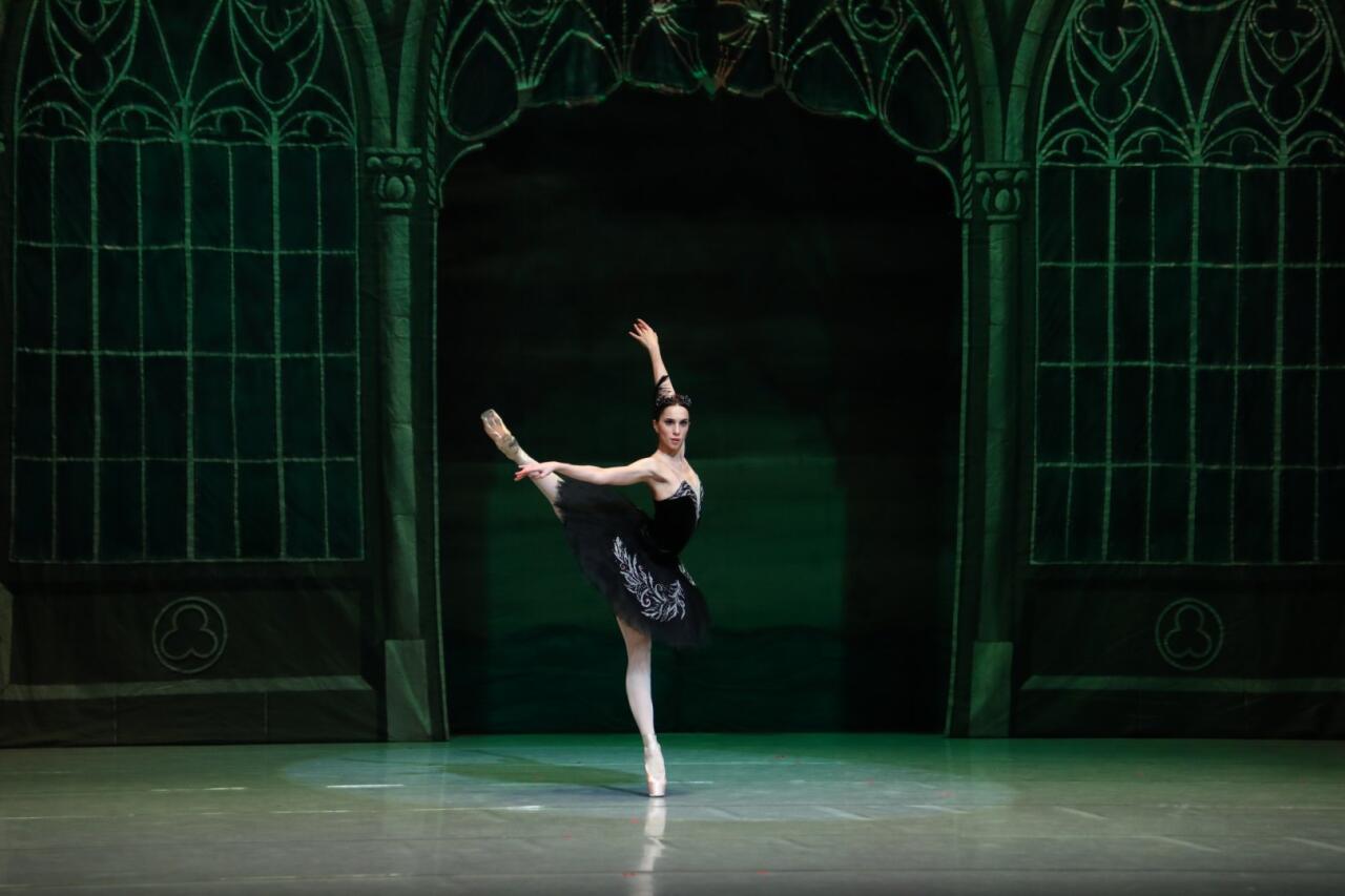 Белый лебедь, черная тайна - между светом и тьмой в Баку