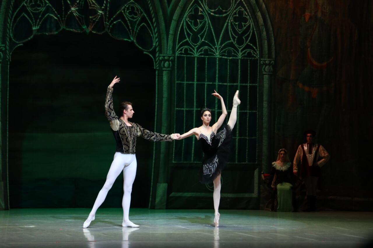 Белый лебедь, черная тайна - между светом и тьмой в Баку