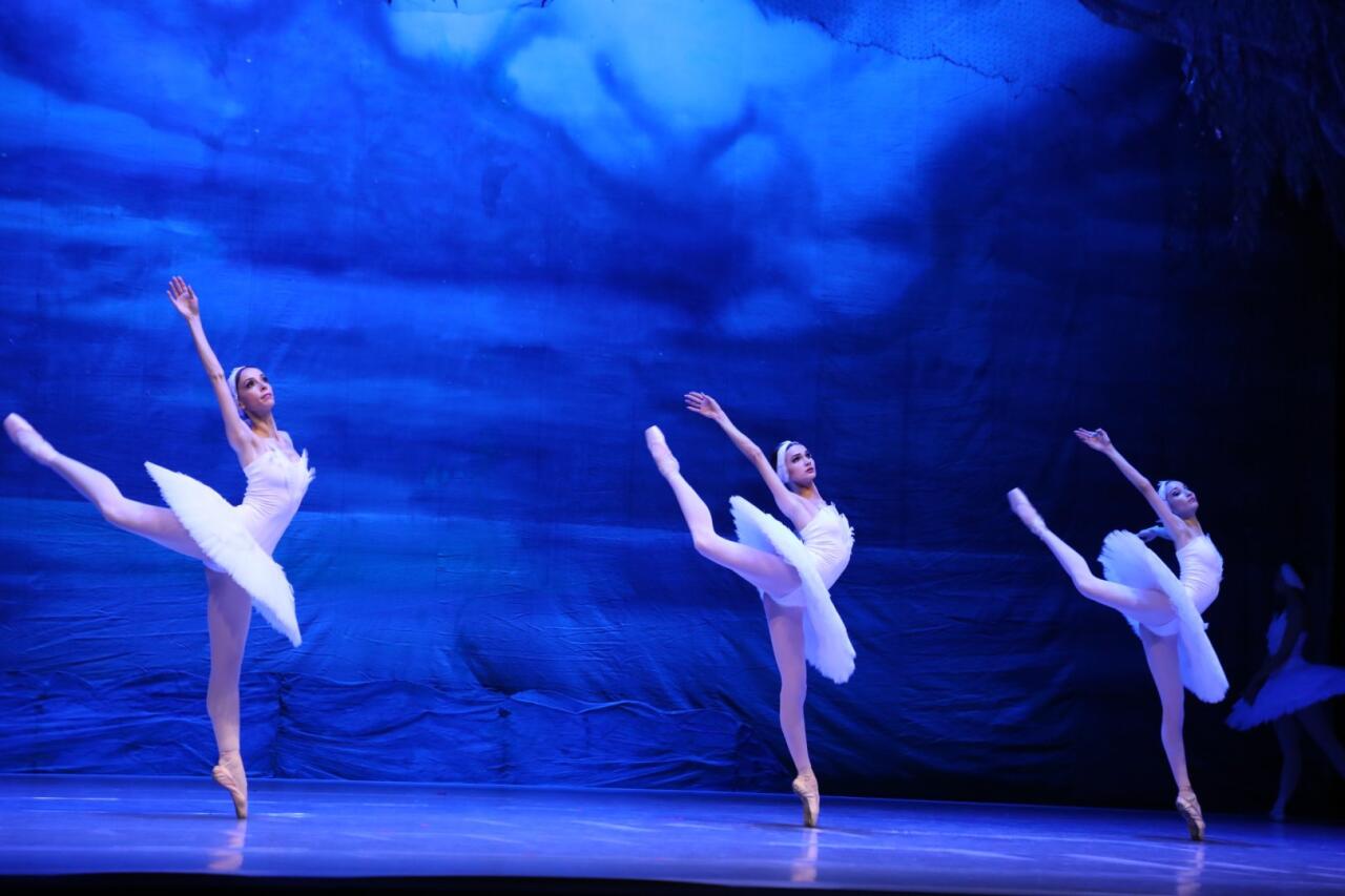 Белый лебедь, черная тайна - между светом и тьмой в Баку