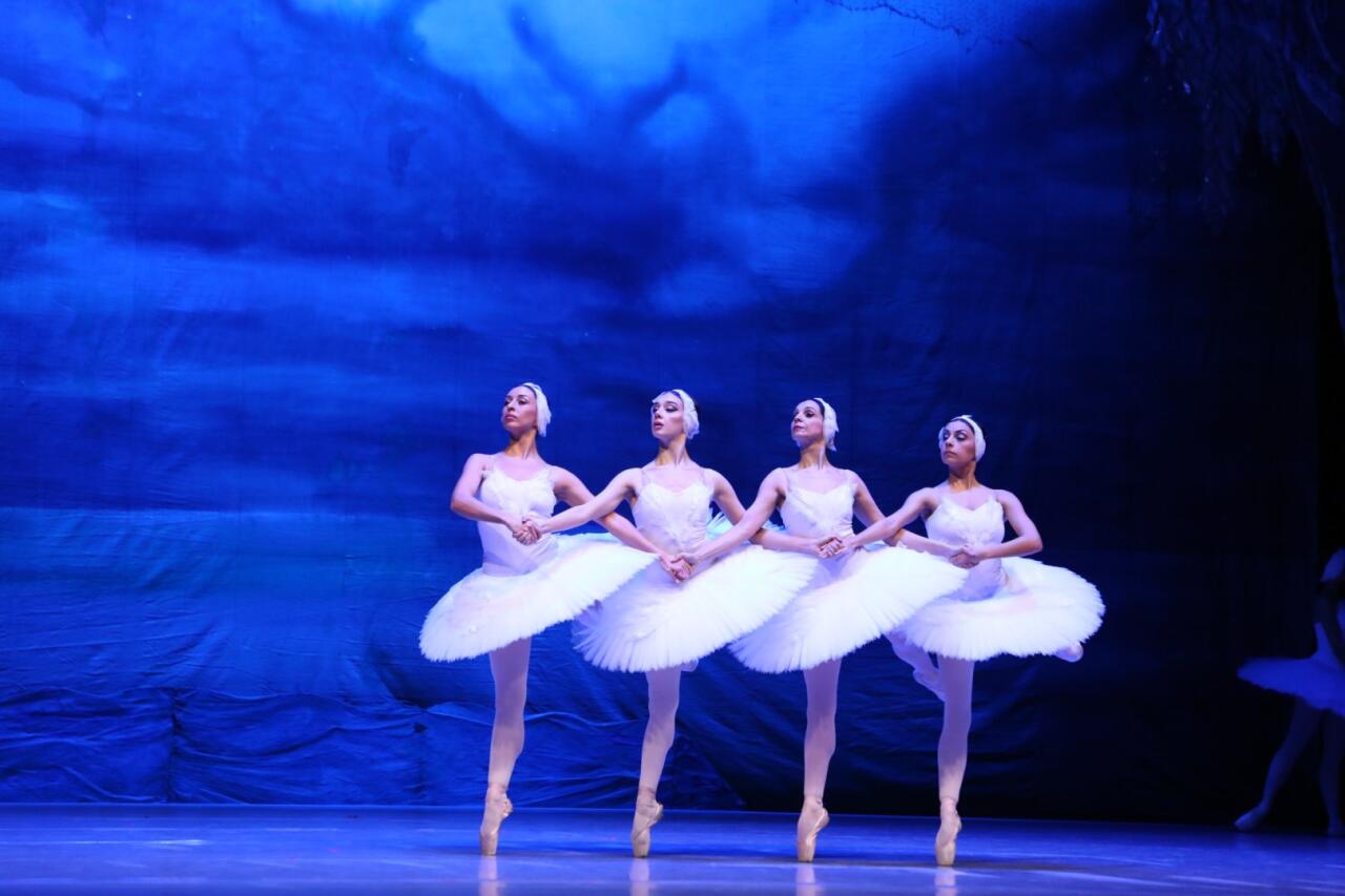 Белый лебедь, черная тайна - между светом и тьмой в Баку