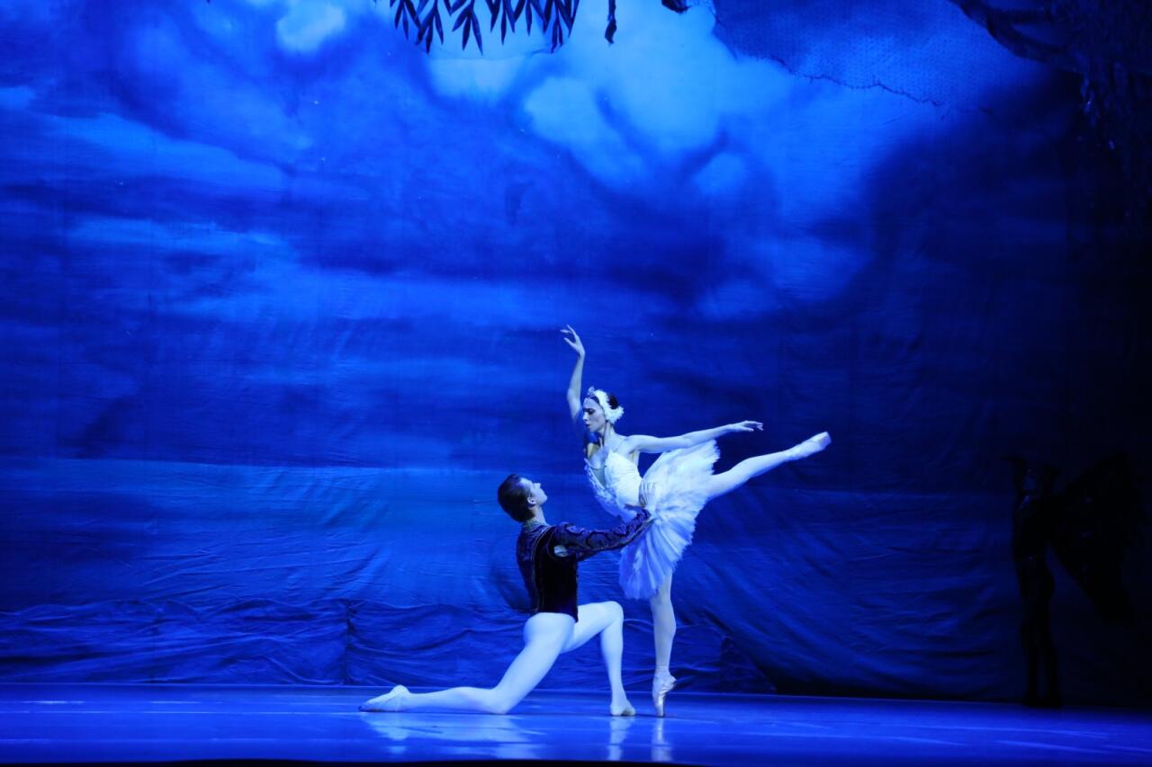 Белый лебедь, черная тайна - между светом и тьмой в Баку