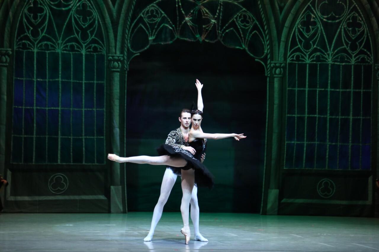 Белый лебедь, черная тайна - между светом и тьмой в Баку