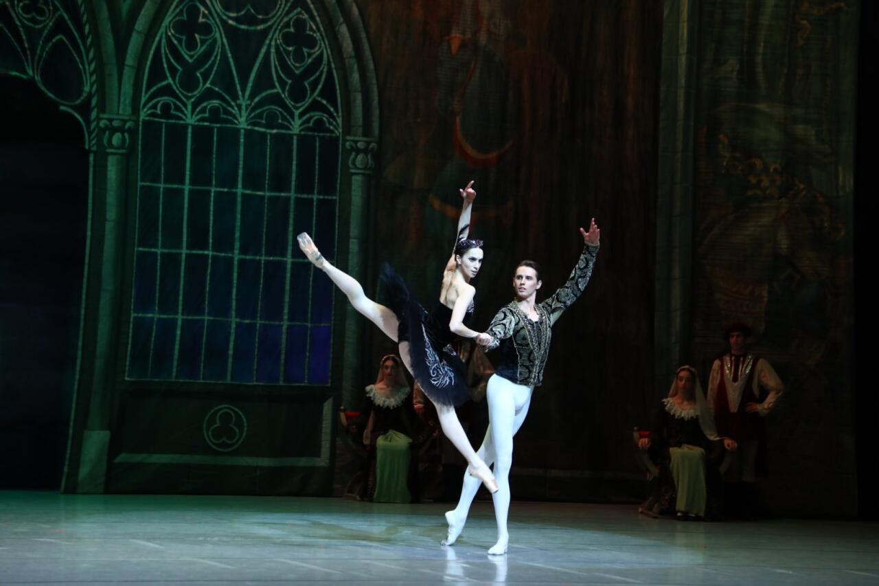 Белый лебедь, черная тайна - между светом и тьмой в Баку