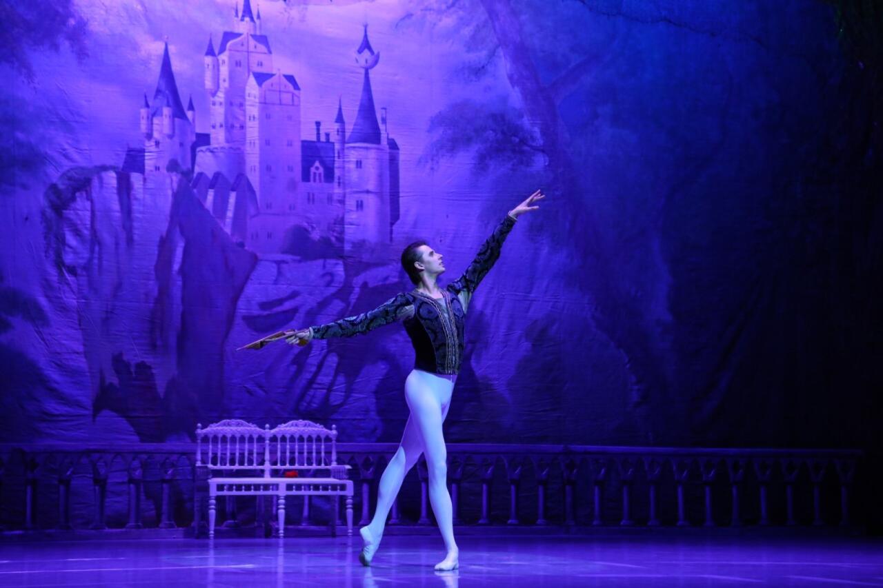 Белый лебедь, черная тайна - между светом и тьмой в Баку