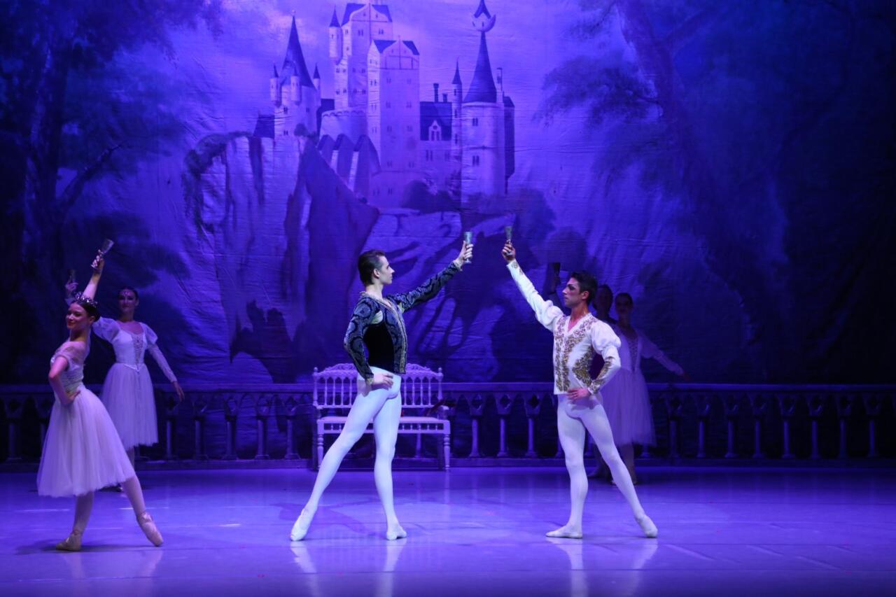 Белый лебедь, черная тайна - между светом и тьмой в Баку