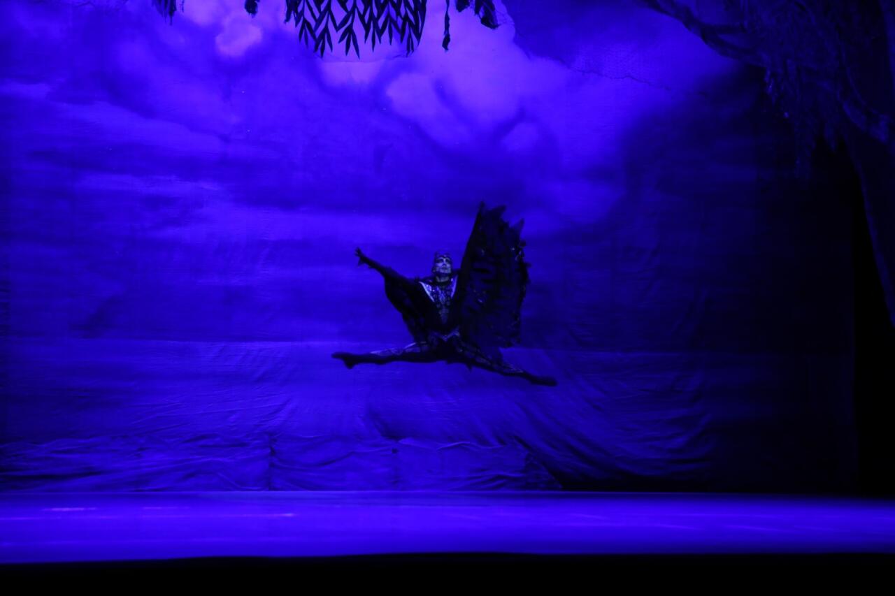 Белый лебедь, черная тайна - между светом и тьмой в Баку