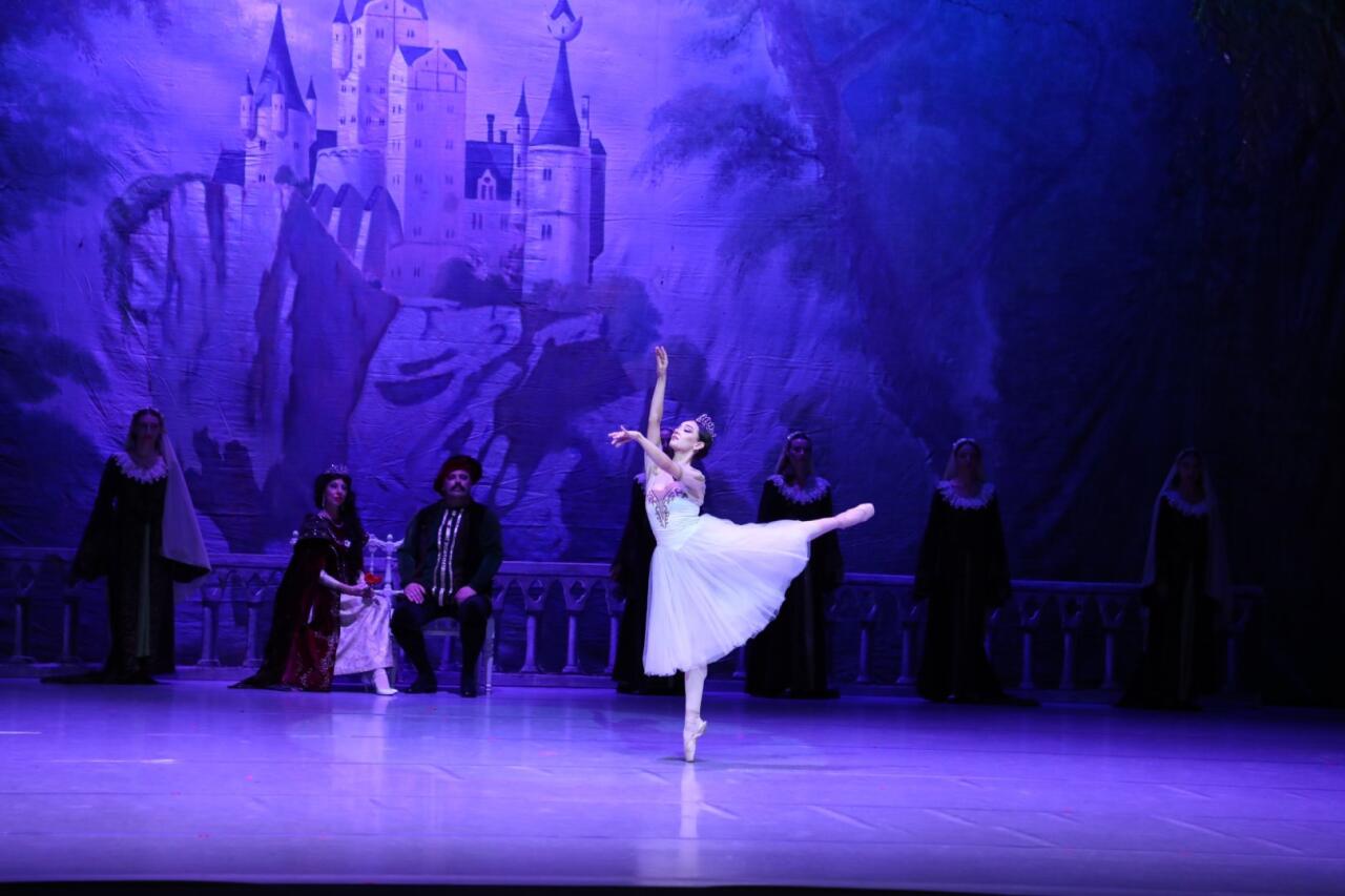 Белый лебедь, черная тайна - между светом и тьмой в Баку