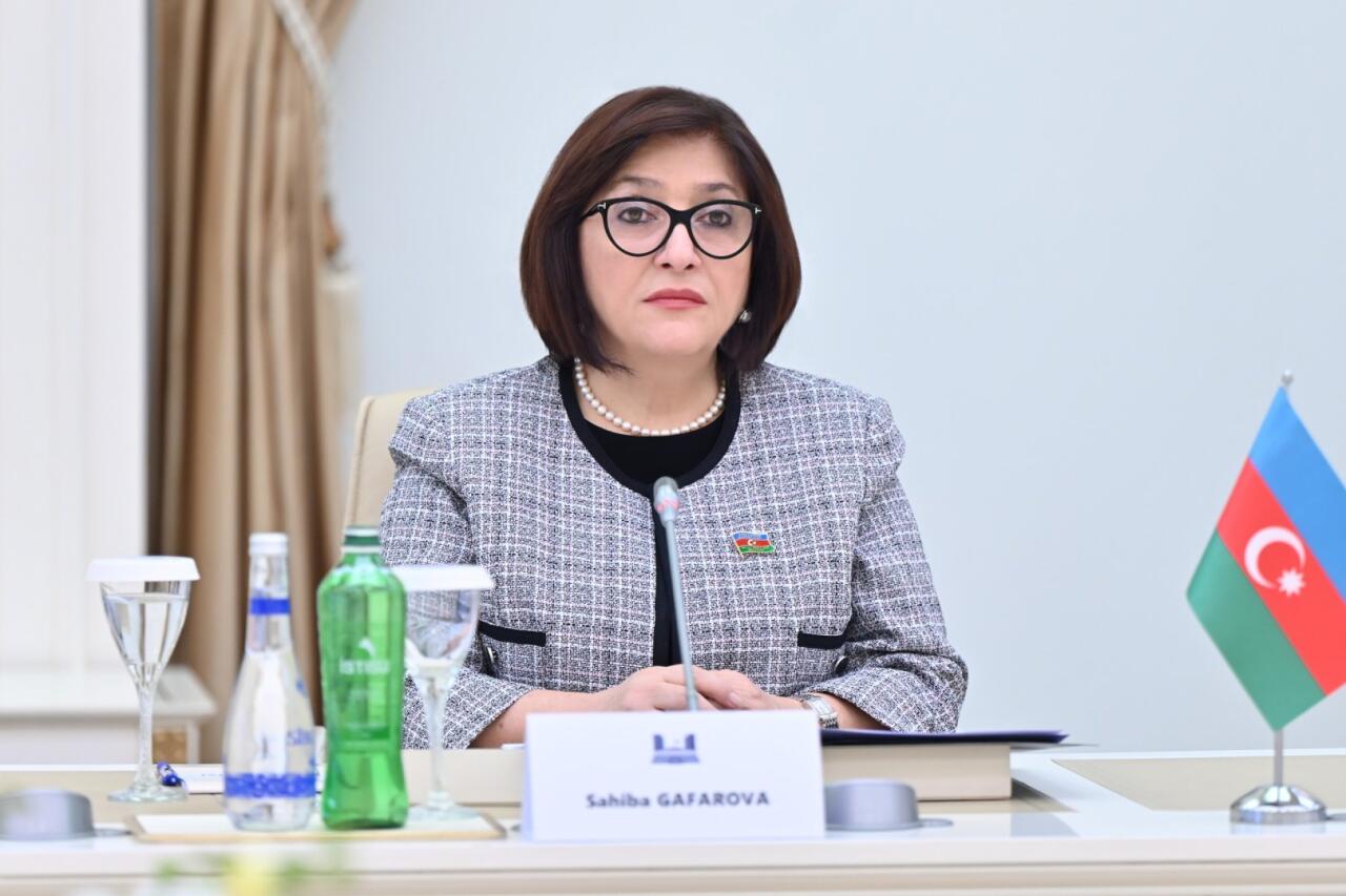 Обсуждено стратегическое партнерство и развитие цифровой экономики Азербайджана и Китая