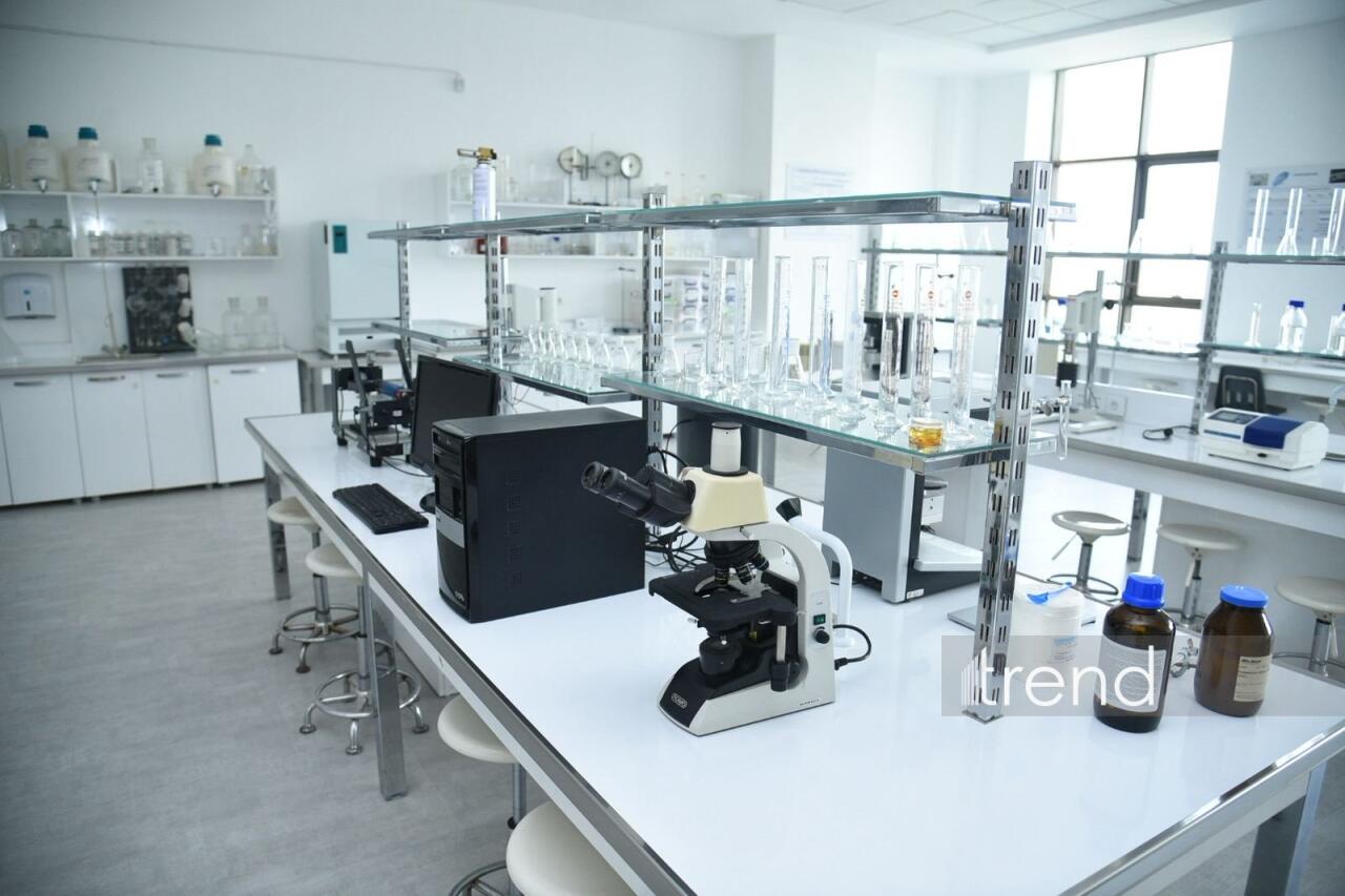 В Бакинском филиале МГУ имени М.В. Ломоносова прошел День открытых дверей на 2026/2027 учебный год