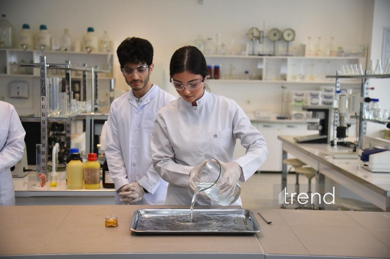 В Бакинском филиале МГУ имени М.В. Ломоносова прошел День открытых дверей на 2026/2027 учебный год