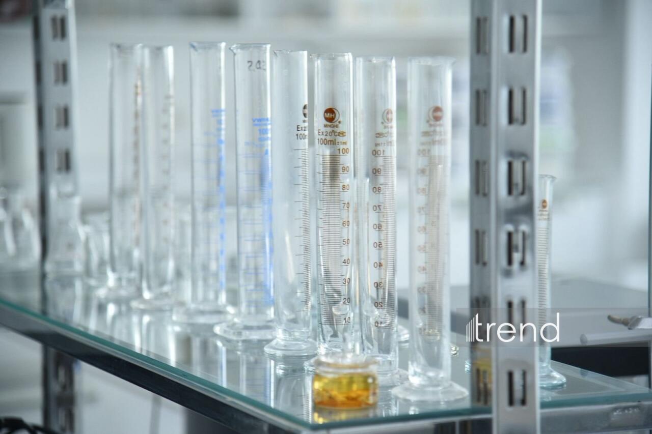 В Бакинском филиале МГУ имени М.В. Ломоносова прошел День открытых дверей на 2026/2027 учебный год