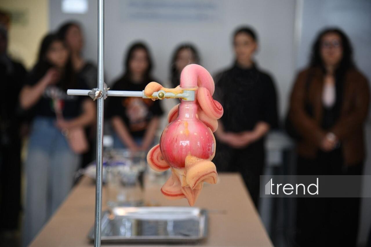 В Бакинском филиале МГУ имени М.В. Ломоносова прошел День открытых дверей на 2026/2027 учебный год