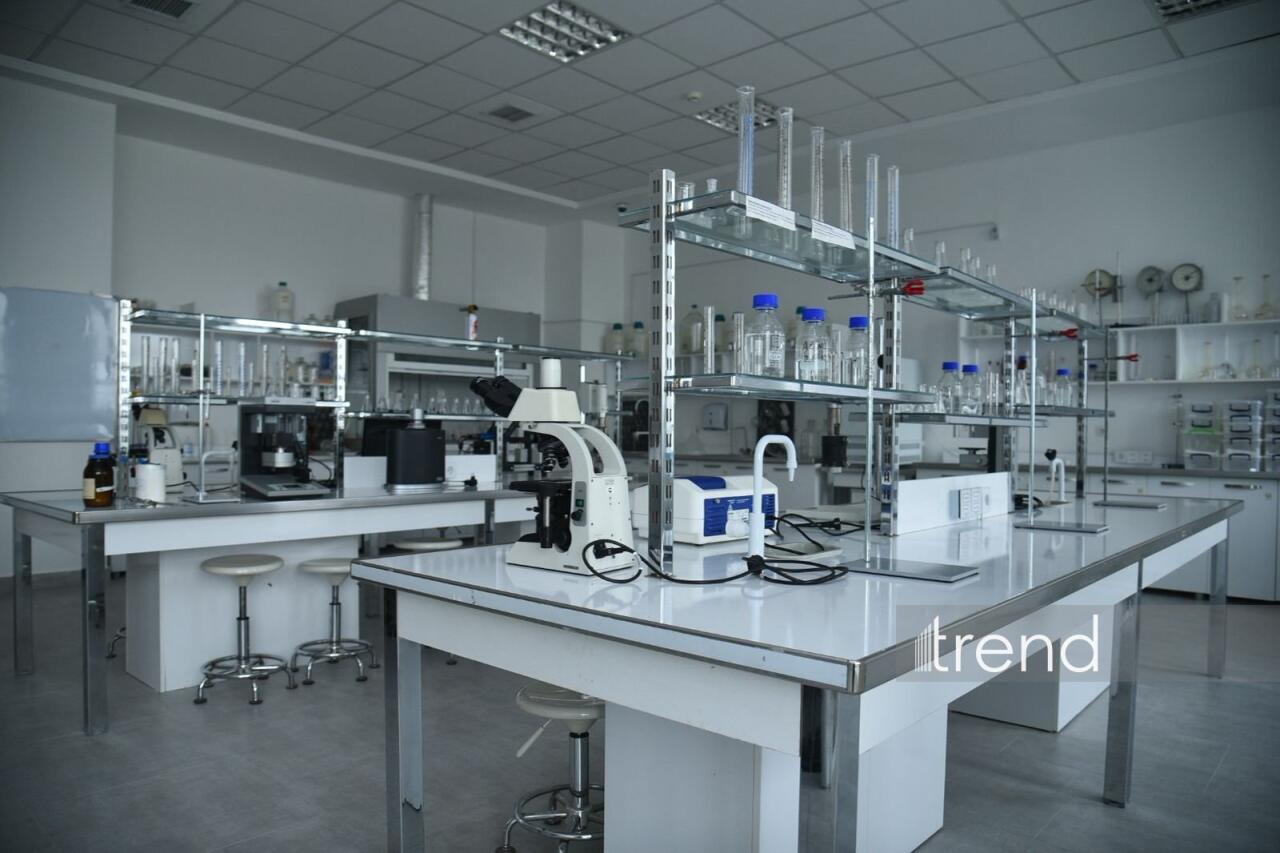 В Бакинском филиале МГУ имени М.В. Ломоносова прошел День открытых дверей на 2026/2027 учебный год