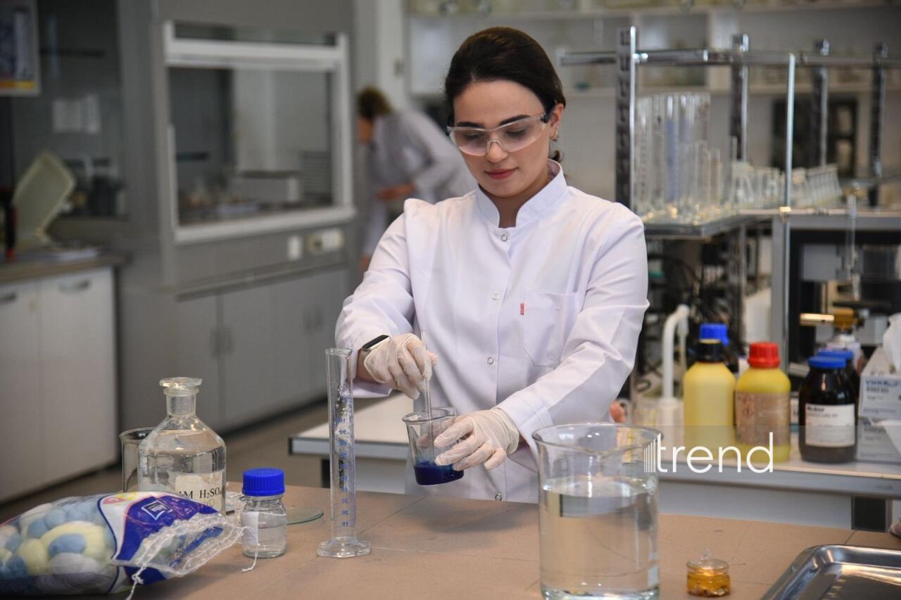 В Бакинском филиале МГУ имени М.В. Ломоносова прошел День открытых дверей на 2026/2027 учебный год