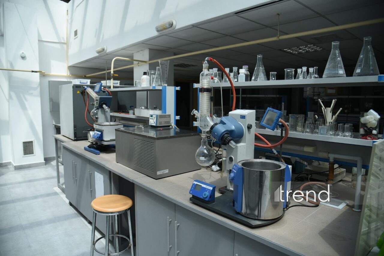 В Бакинском филиале МГУ имени М.В. Ломоносова прошел День открытых дверей на 2026/2027 учебный год