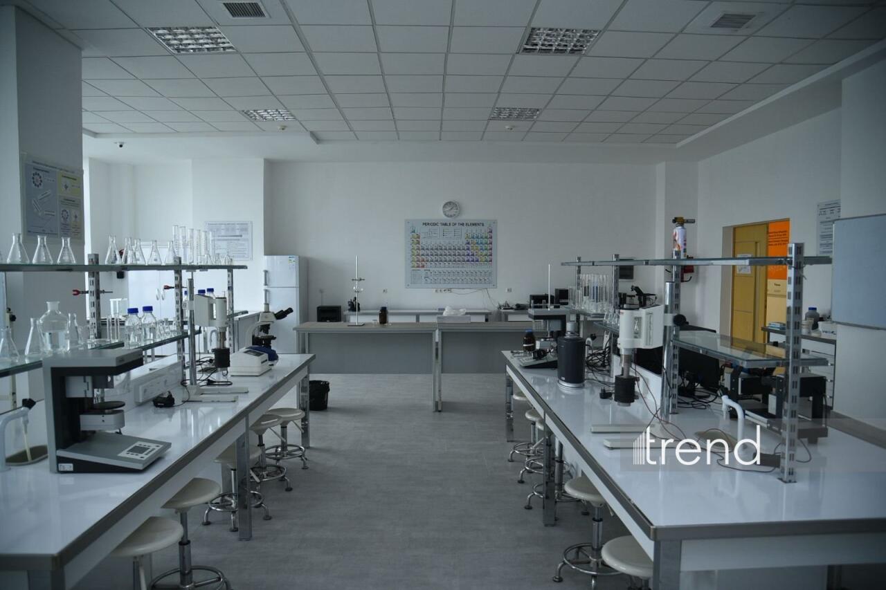 В Бакинском филиале МГУ имени М.В. Ломоносова прошел День открытых дверей на 2026/2027 учебный год