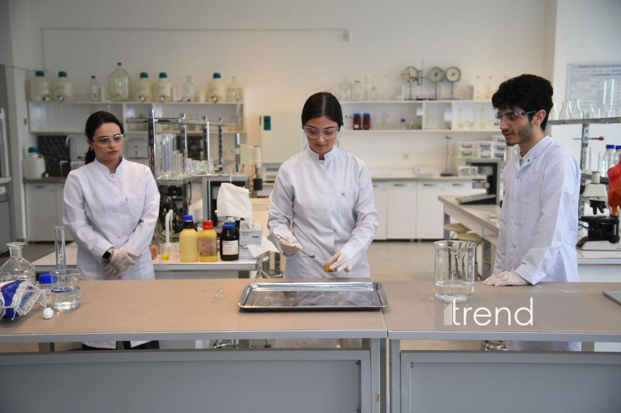 В Бакинском филиале МГУ имени М.В. Ломоносова прошел День открытых дверей на 2026/2027 учебный год