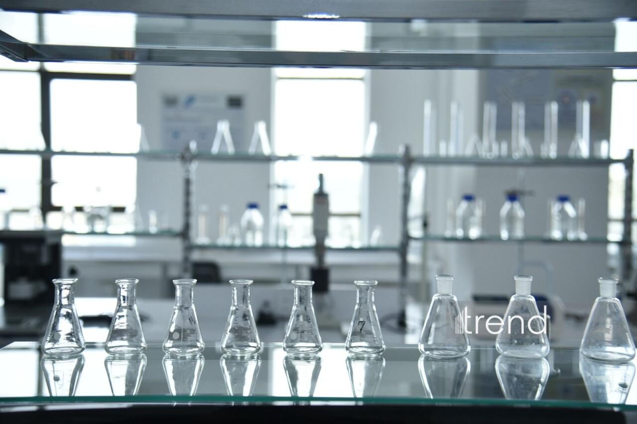 В Бакинском филиале МГУ имени М.В. Ломоносова прошел День открытых дверей на 2026/2027 учебный год