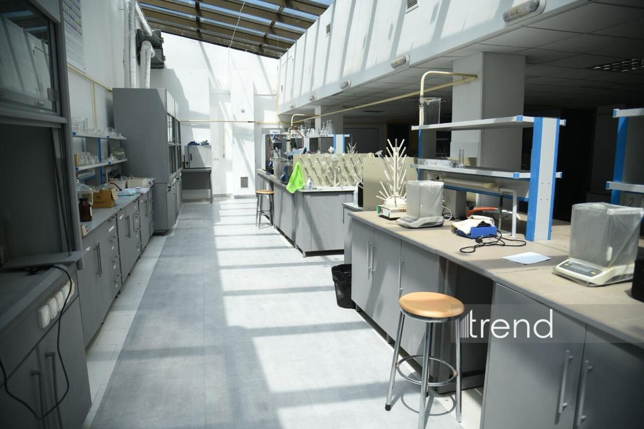 В Бакинском филиале МГУ имени М.В. Ломоносова прошел День открытых дверей на 2026/2027 учебный год