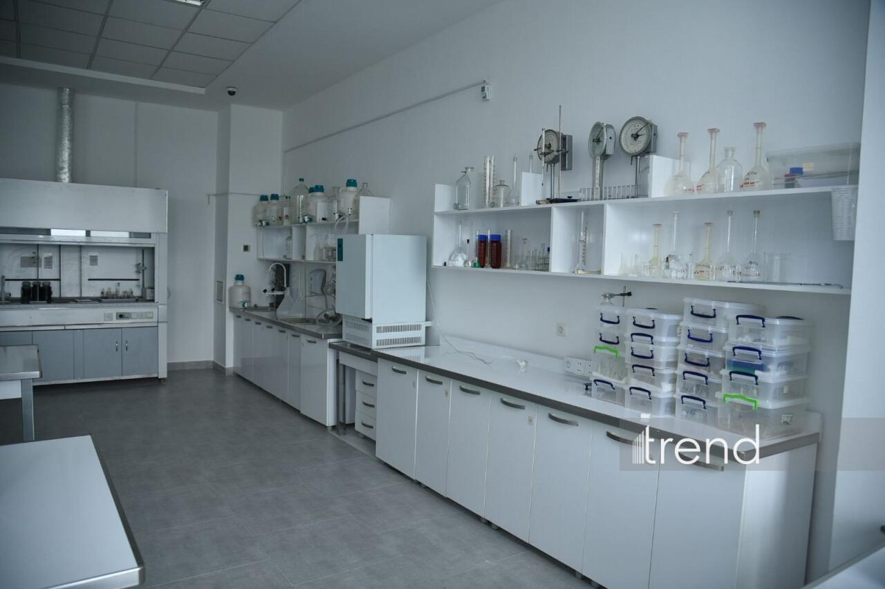 В Бакинском филиале МГУ имени М.В. Ломоносова прошел День открытых дверей на 2026/2027 учебный год