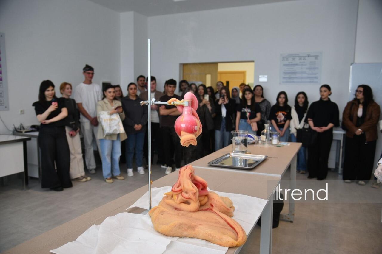 В Бакинском филиале МГУ имени М.В. Ломоносова прошел День открытых дверей на 2026/2027 учебный год