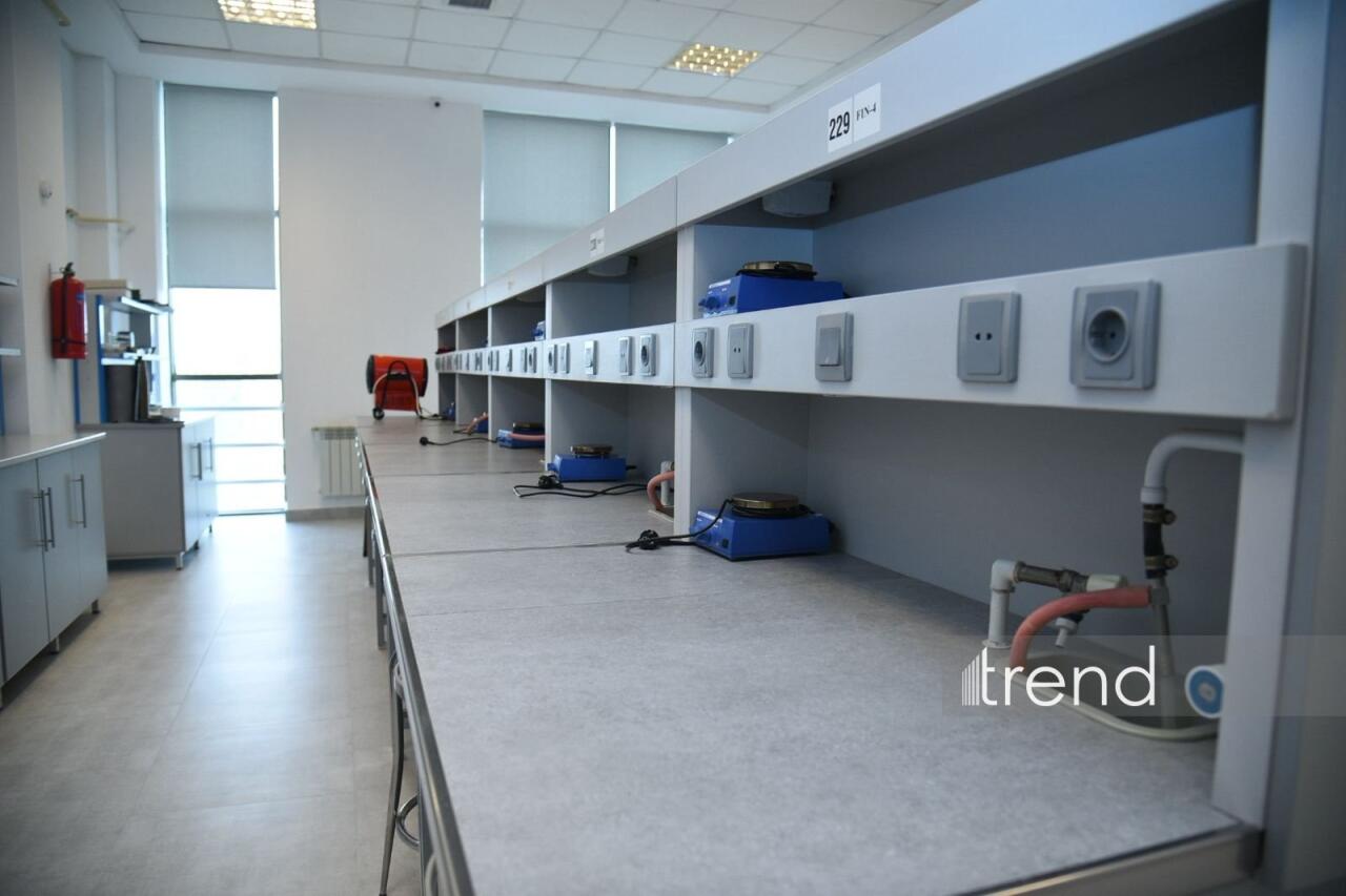 В Бакинском филиале МГУ имени М.В. Ломоносова прошел День открытых дверей на 2026/2027 учебный год