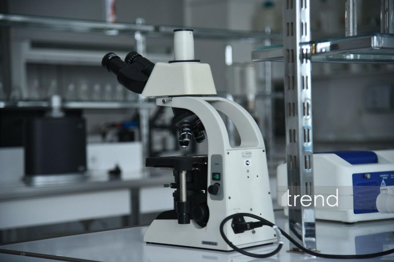 В Бакинском филиале МГУ имени М.В. Ломоносова прошел День открытых дверей на 2026/2027 учебный год